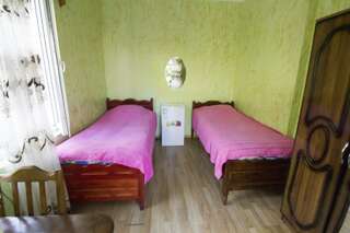 Гостевой дом Guest House Imeda Квариати Двухместный номер с 2 отдельными кроватями и собственной ванной комнатой-2